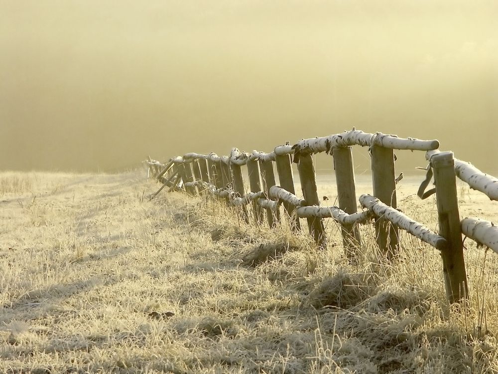 frostyfence