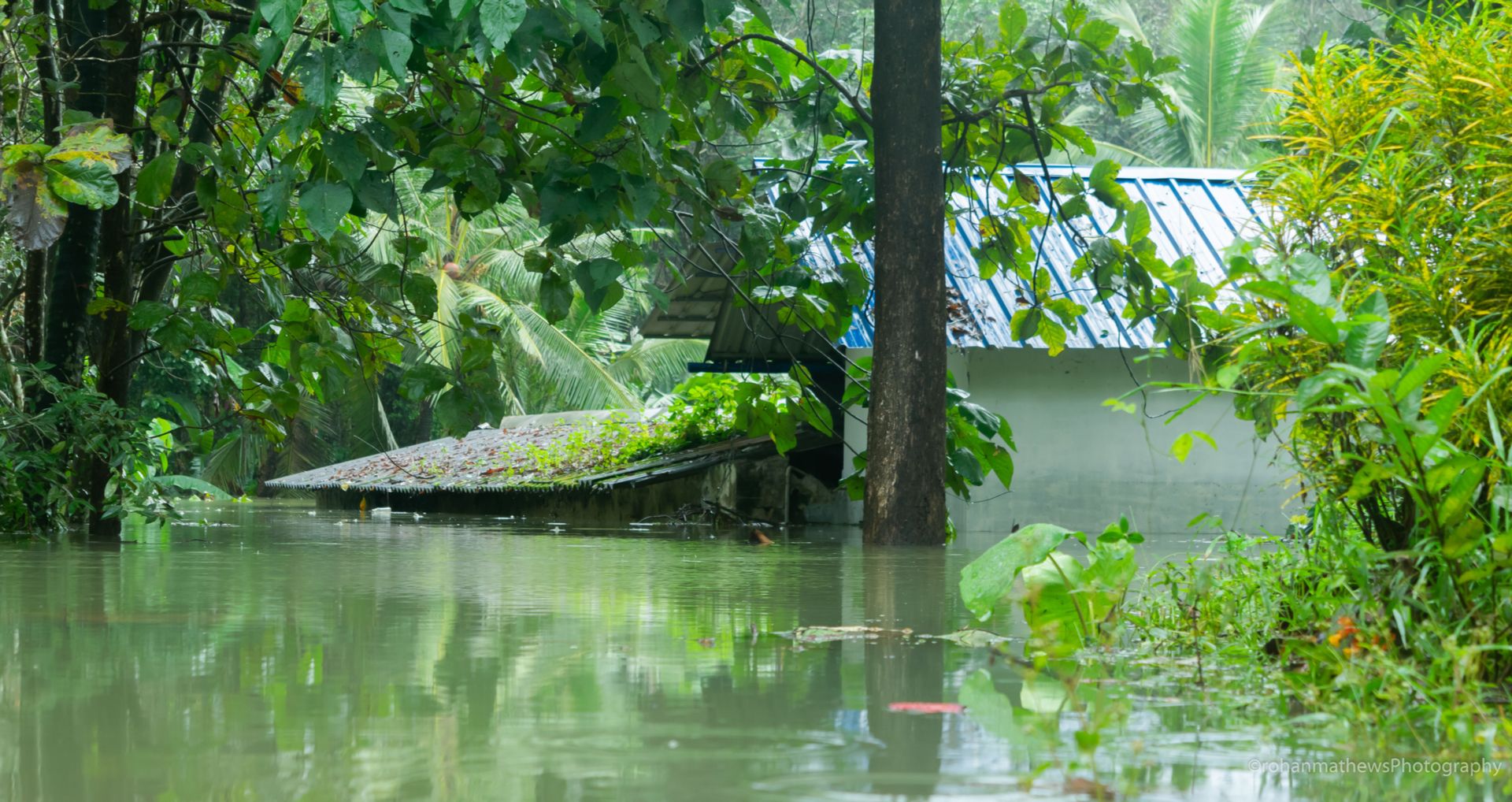 shutterstock_1397936468_kerala_flood_2018-002