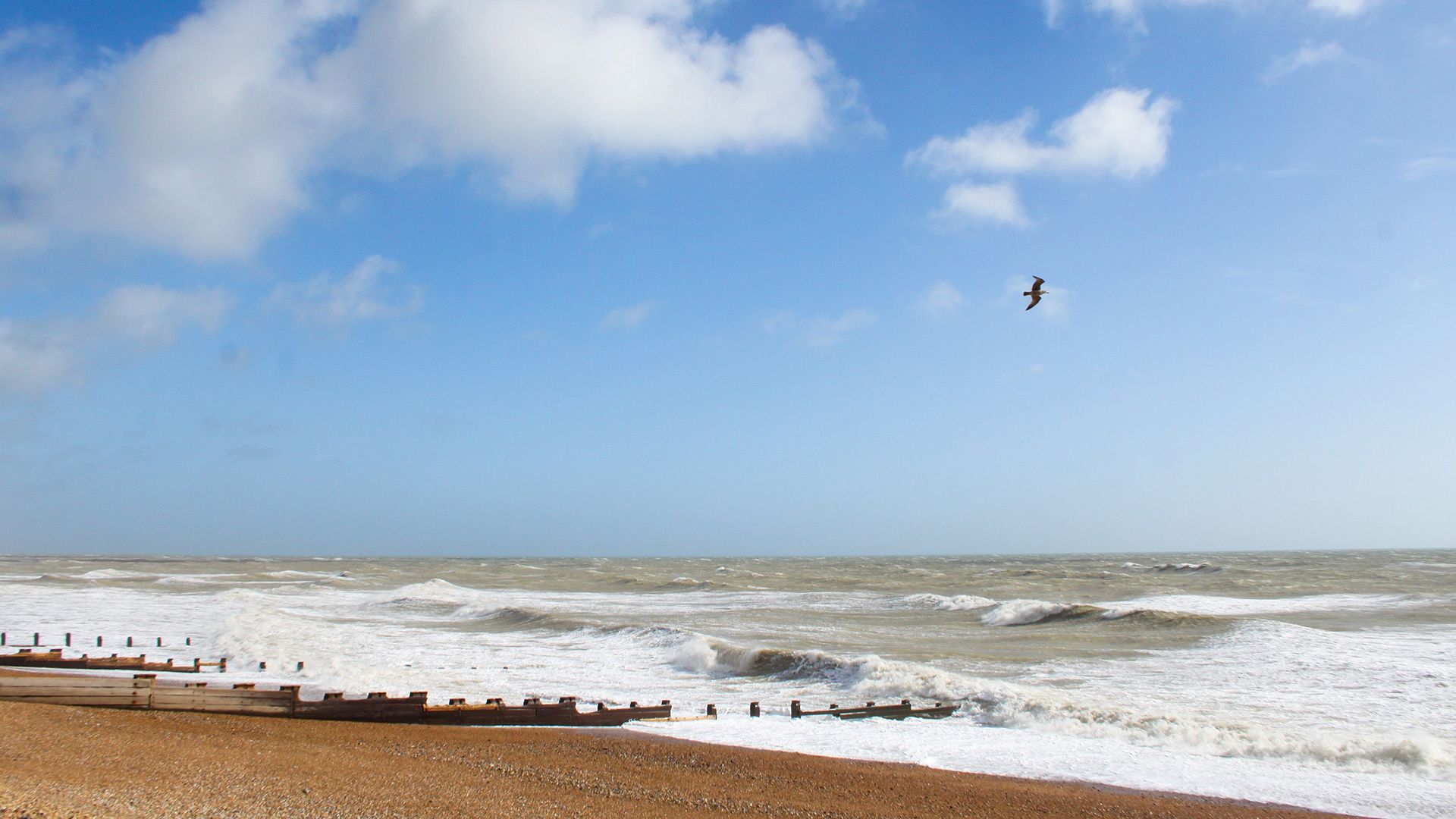 summer-beach-bexhill-on-sea-2okta-cu