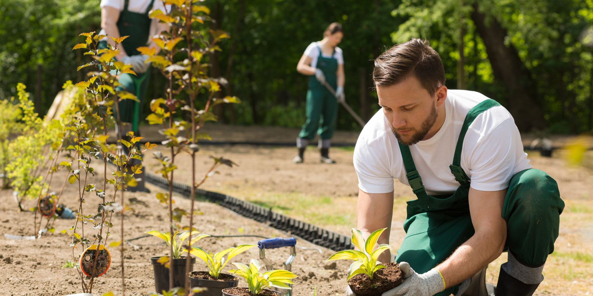 Plants gardener. Рабочий по озеленению. Садовник. Мастер по озеленению. Садовник в саду.