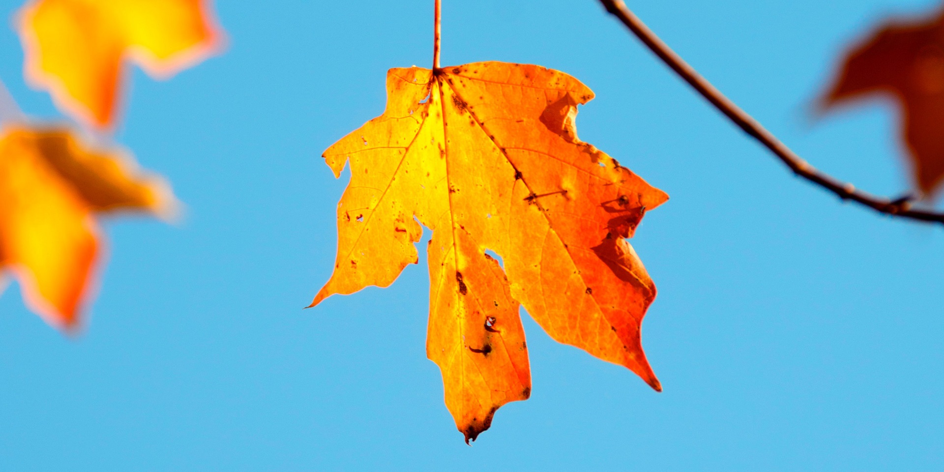 Warm September marks start of Autumn - Met Office