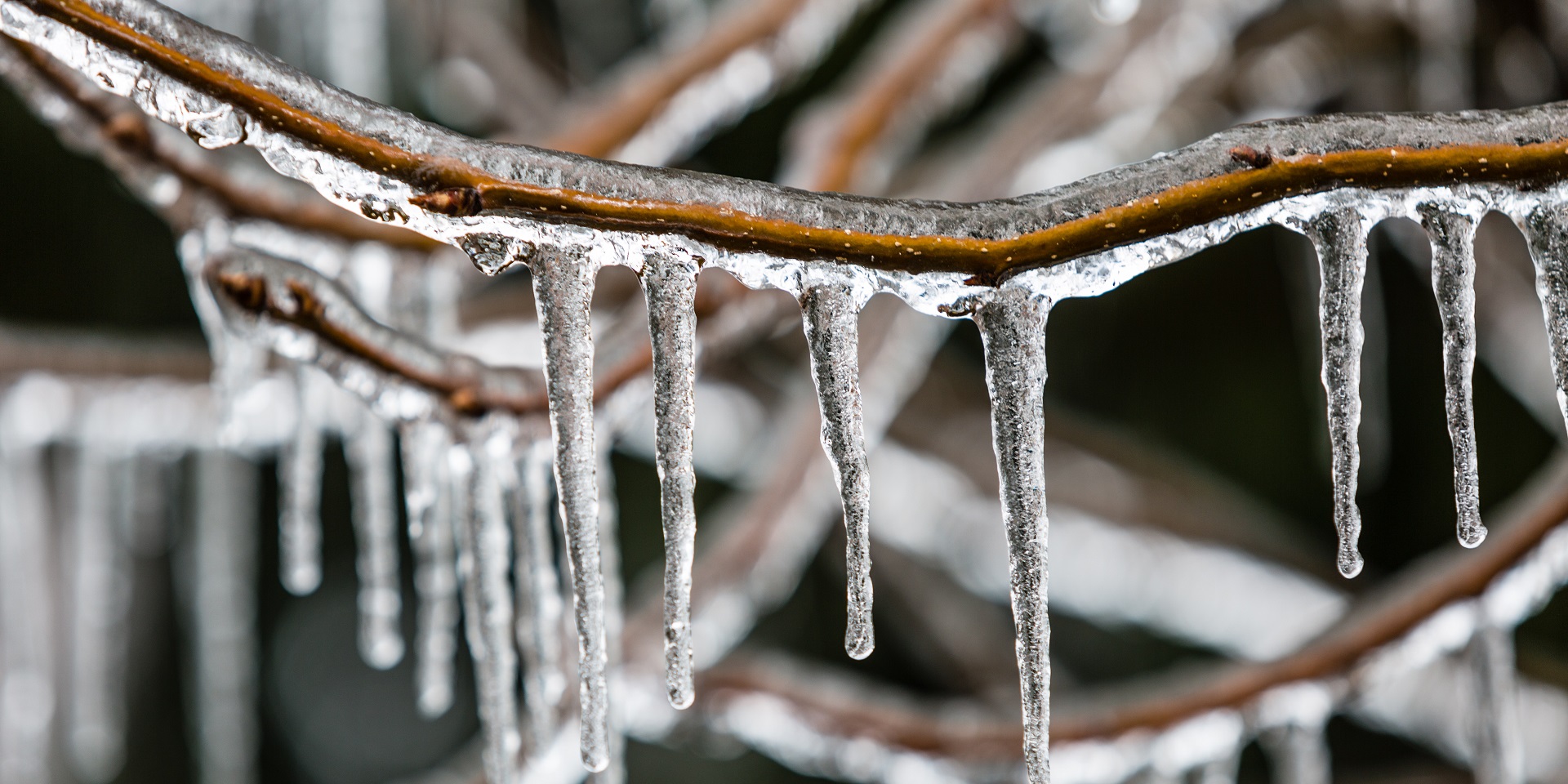 Freezing Rain Met Office