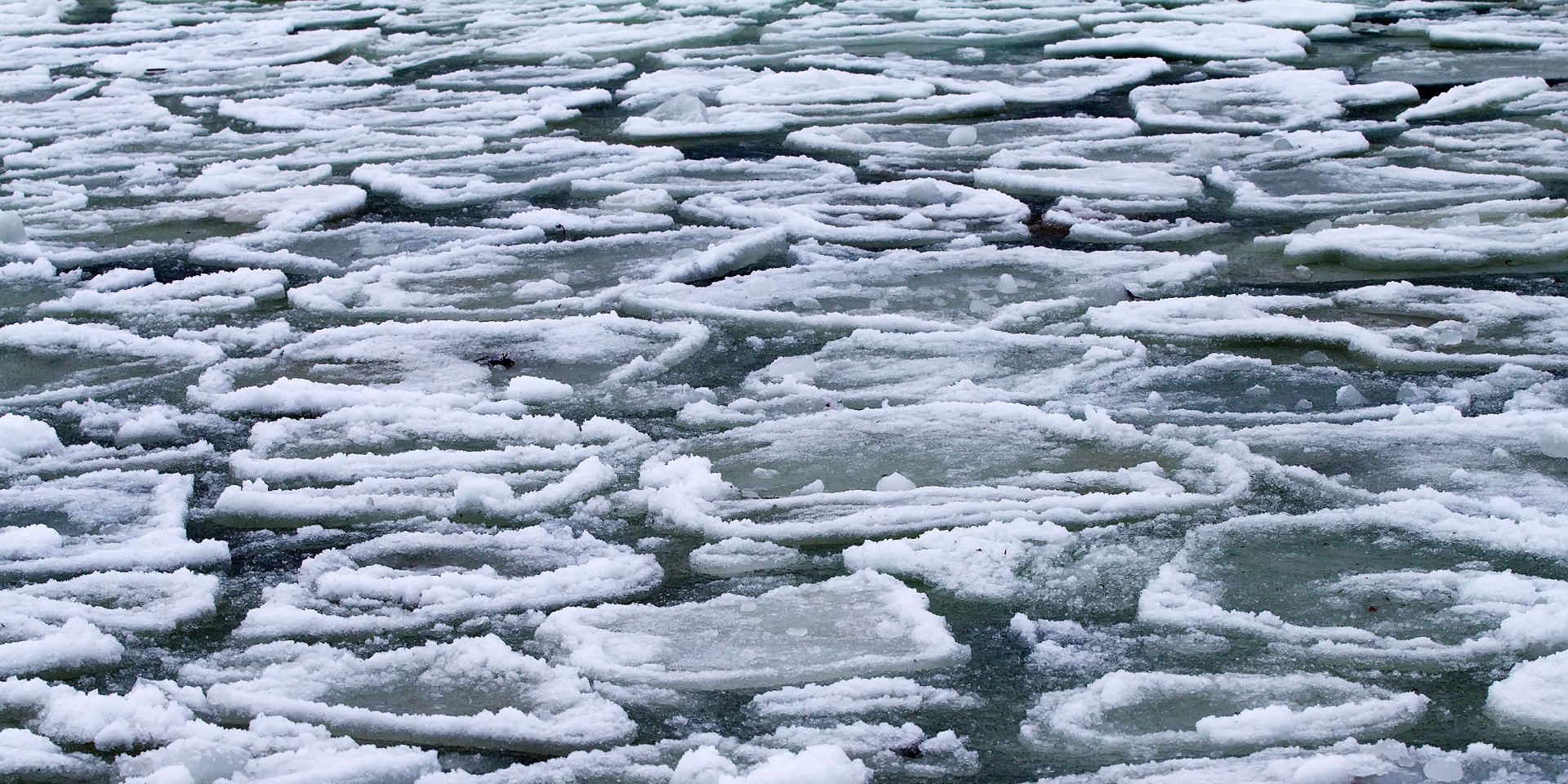 Ice pancakes Met Office