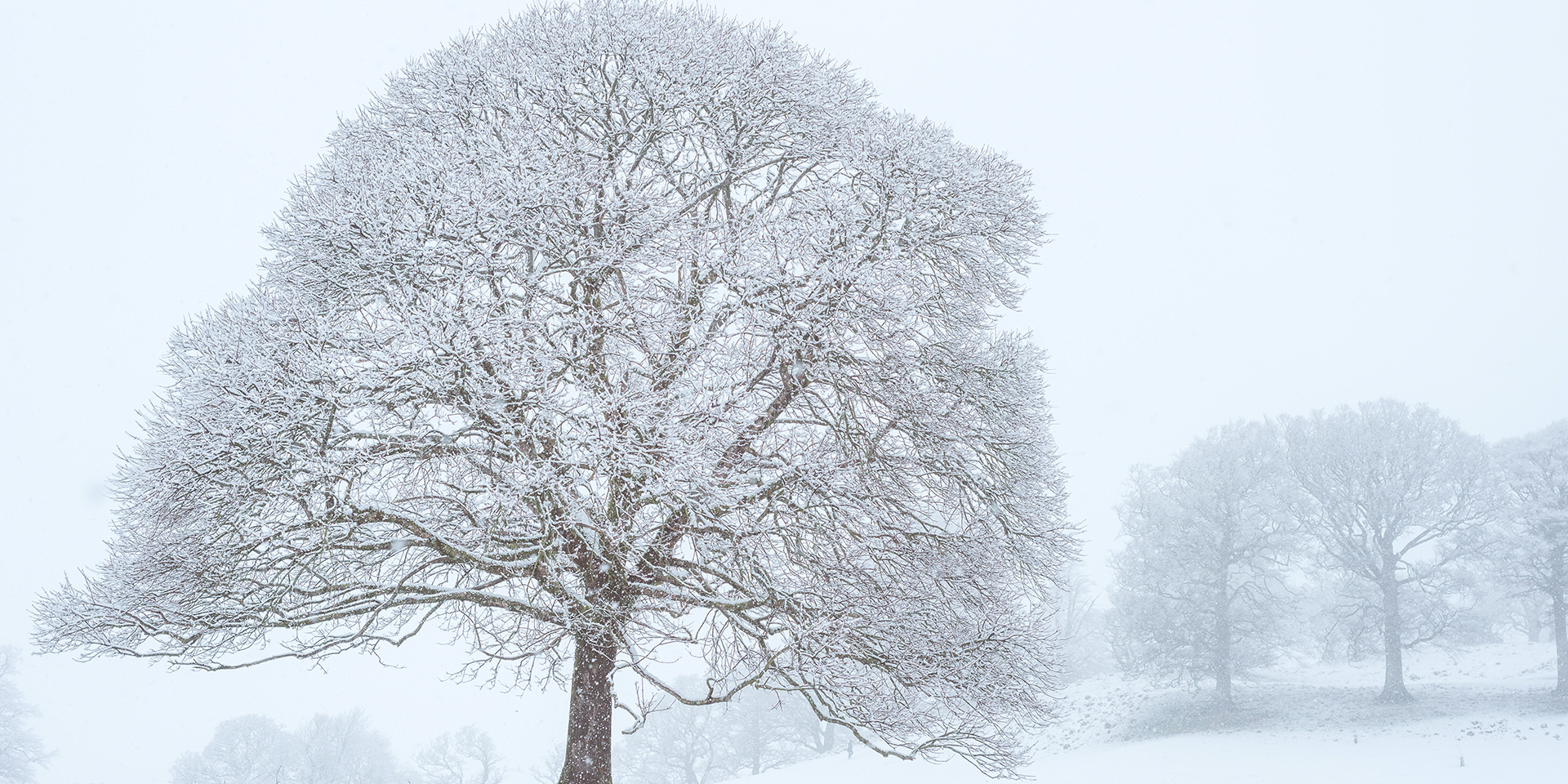 Let it snow: 6 of the best descriptions of winter weather in