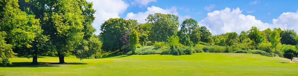 A green park, with flat green lawns in the foreground, giving way to green trees in the background, with a sunny, blue sky and a few clouds around the horizon. A green park, with flat green lawns in the foreground, giving way to green trees in the background, with a sunny, blue sky and a few clouds around the horizon.