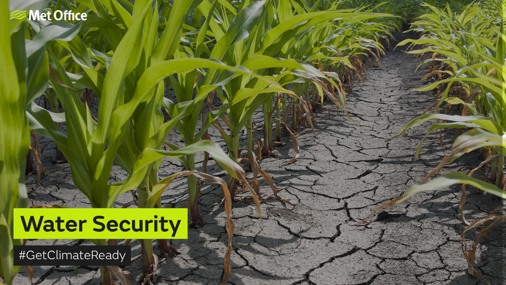 Crops in a dry field with the text "Water Security #GetClimateReady".