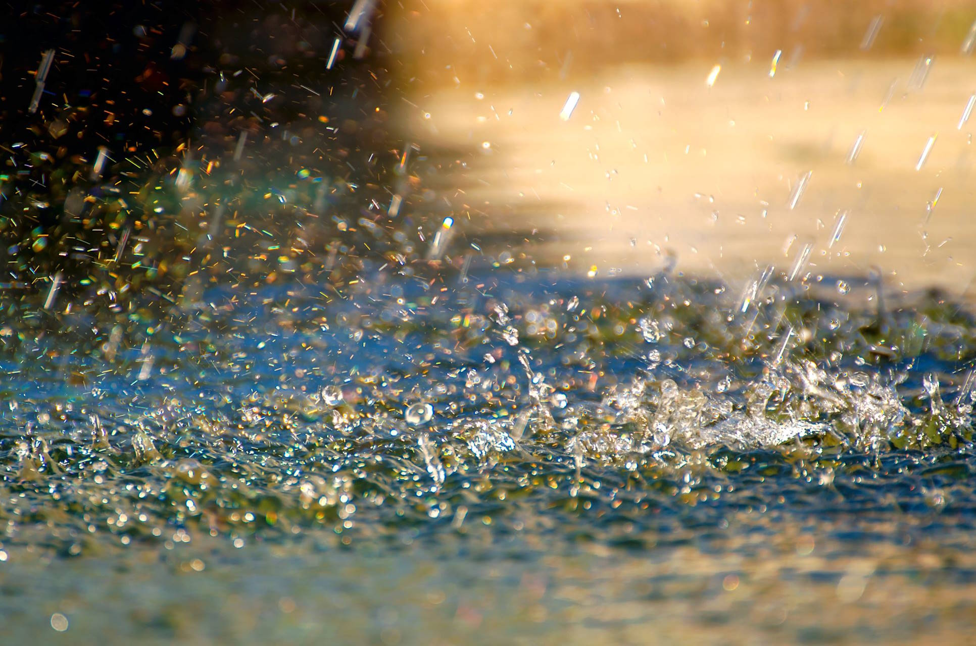 Rain drops falling into a puddle.