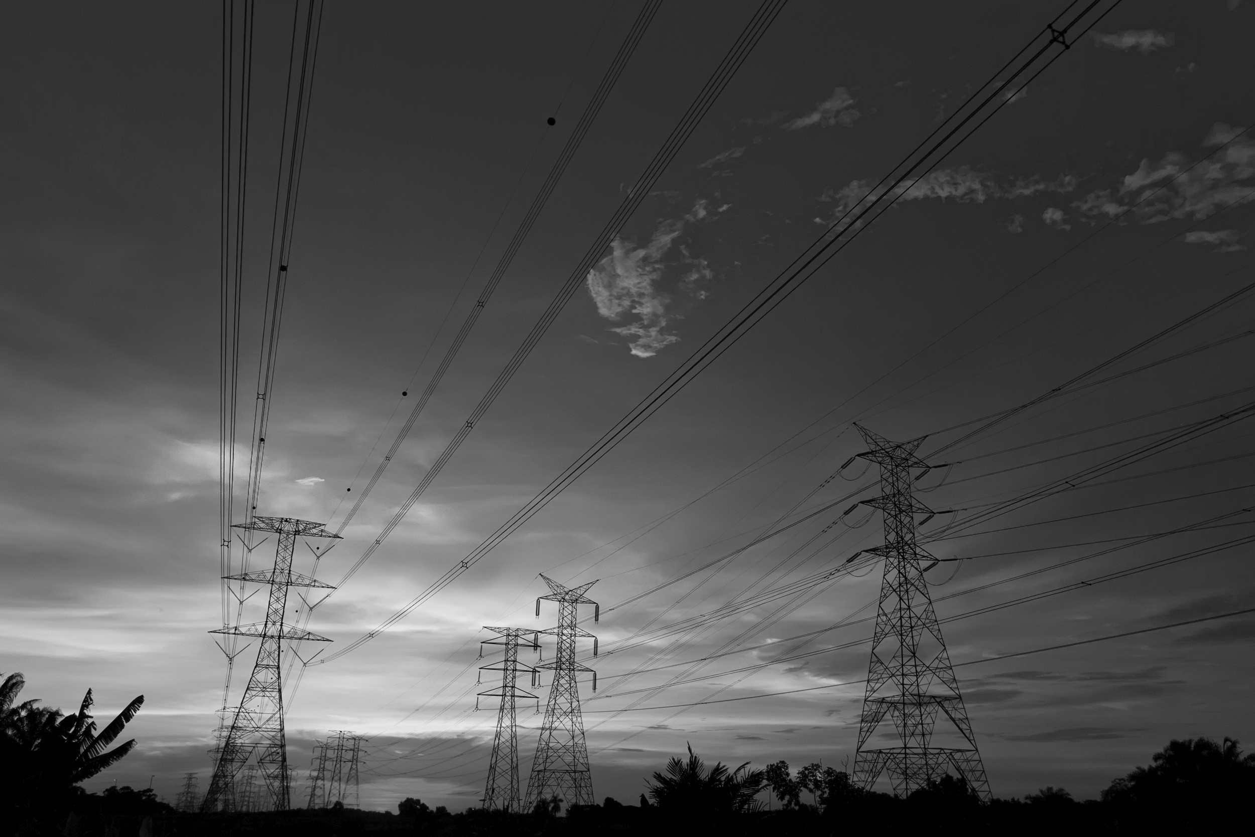 Grey image of power lines before sky.