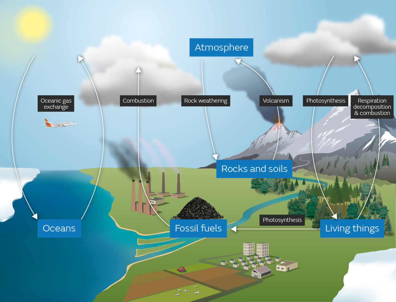Carbon Cycle - GLOBE.gov
